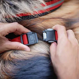 Harnais Pour Chien Daytona Cross L de Ferplast – photo produit 5 sur 6