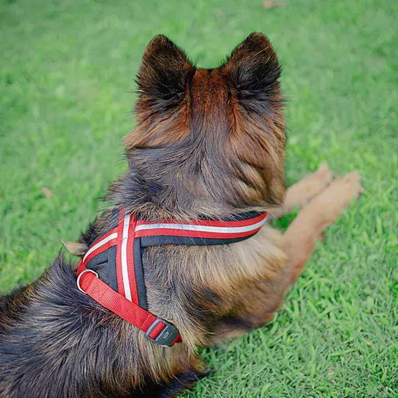 Harnais Pour Chien Daytona Cross L de Ferplast – photo produit 6 sur 6