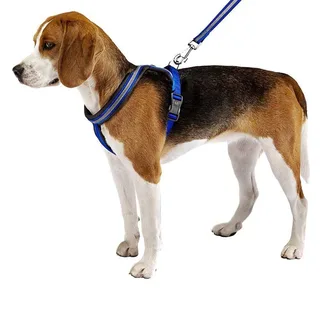 Harnais Pour Chien Daytona Cross M by Ferplast – product photo 3 of 6