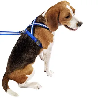 Harnais Pour Chien Daytona Cross M by Ferplast – product photo 4 of 6
