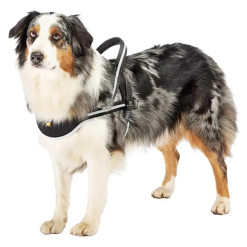 Harnais Pour Chien Ergocomfort von Ferplast – Produktfoto 5 von 5
