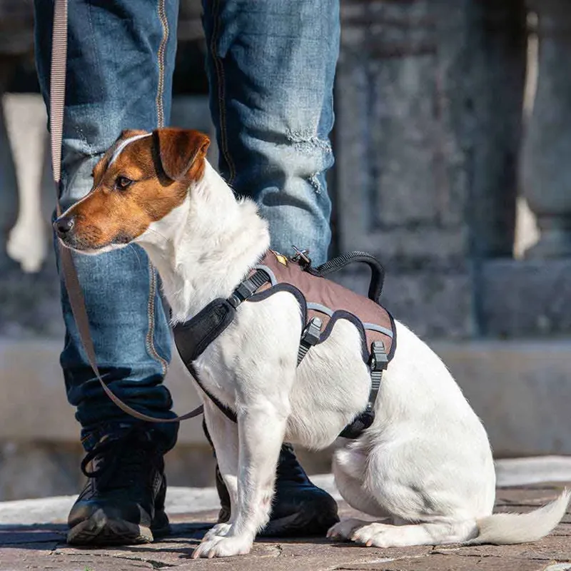 Harnais Pour Chien Ergotrekking P by Ferplast – product photo 4 of 5