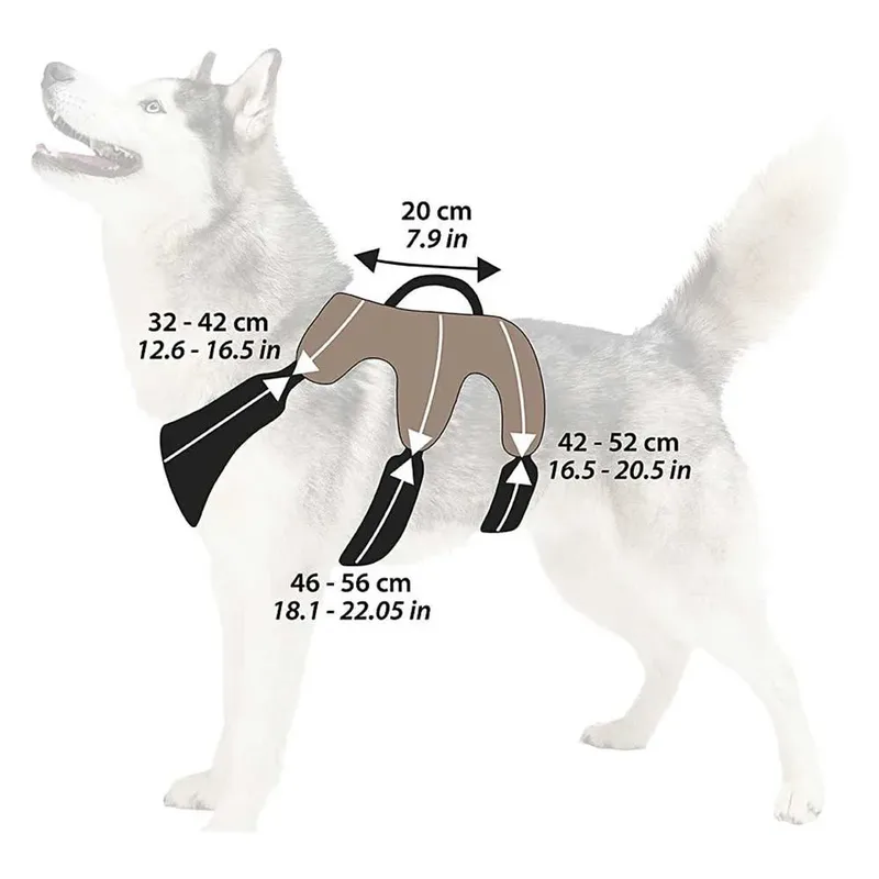 Harnais Pour Chien Ergotrekking P by Ferplast – product photo 5 of 5
