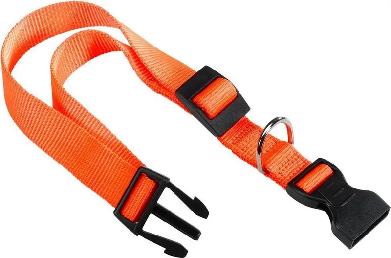 Hondenhalsband Club 25 X 1 Cm Nylon de Ferplast en Orange – photo produit