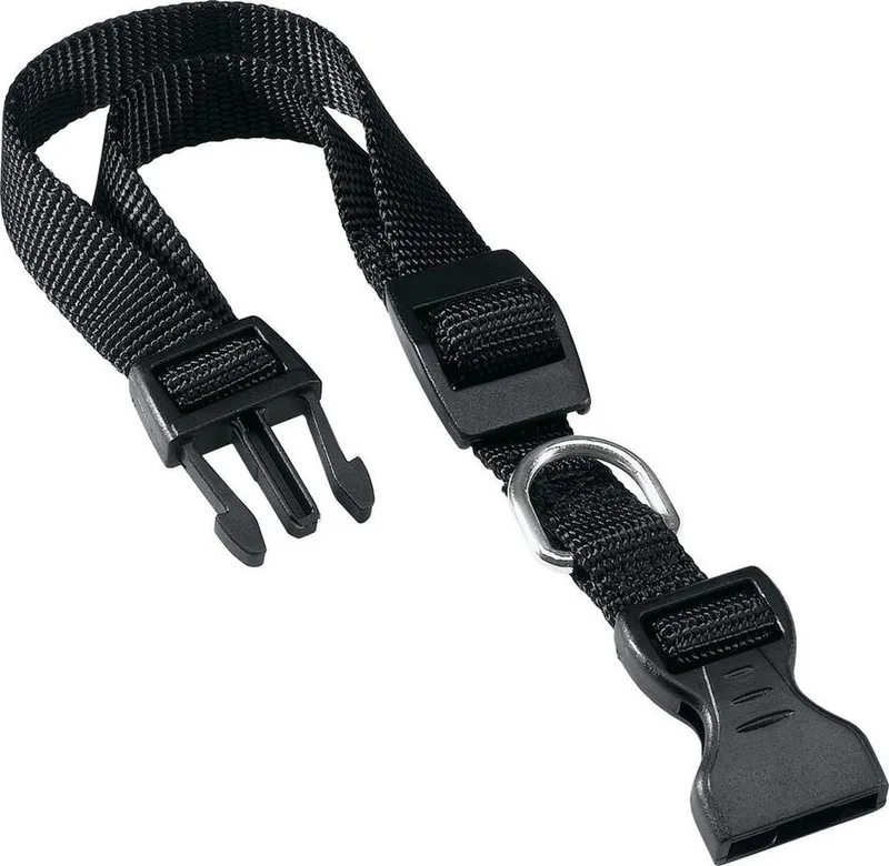 Hondenhalsband Club 25 X 1 Cm Nylon by Ferplast in Black – product photo