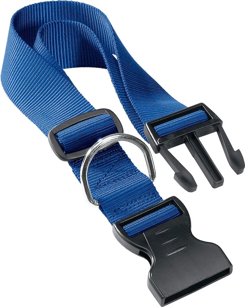 Hondenhalsband Club 32 X 1 Cm Nylon by Ferplast in Blue – product photo