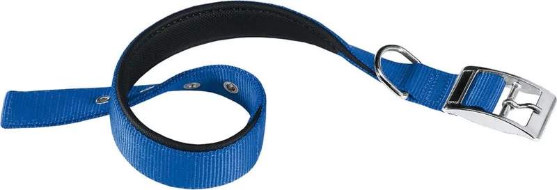 Hondenhalsband Daytona 43 X 2 Cm Staal/nylon by Ferplast in Blue – product photo