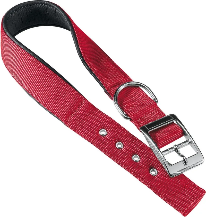Hondenhalsband Daytona 45 X 2,5 Cm Staal/nylon de Ferplast en Rouge – photo produit