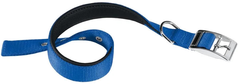 Hondenhalsband Daytona 53 X 2,5 Cm Staal/nylon de Ferplast en Bleu – photo produit