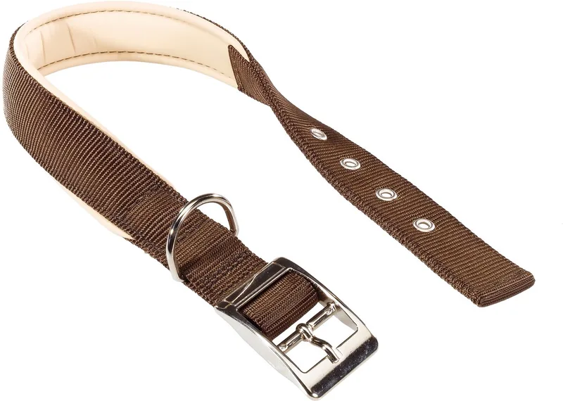 Hondenhalsband Daytona 53 X 2,5 Cm Staal/nylon de Ferplast en Marron – photo produit