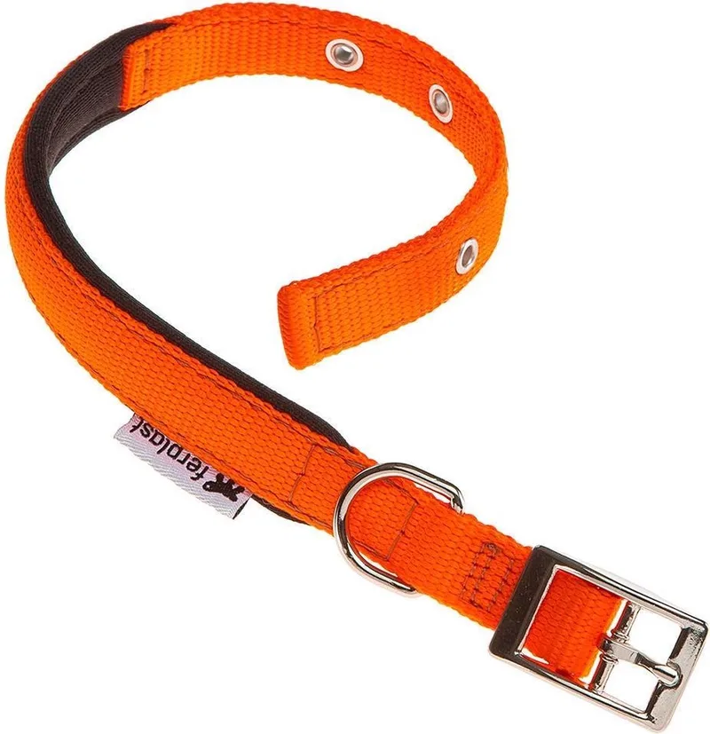 Hondenhalsband Daytona 53 X 2,5 Cm Staal/nylon van Ferplast in Oranje – productfoto