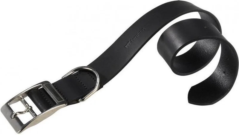 Hondenhalsband Natural 35-43 X 2 Cm Kunstleer Zwart de Ferplast en Argent – photo produit