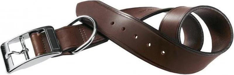 Hondenhalsband Vip 37 Tot 45 Cm Leer by Ferplast in Donkerbruin – product photo