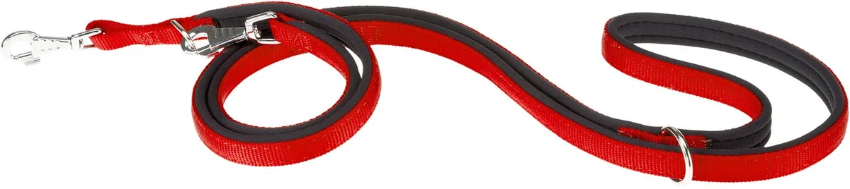 Hondenlijn Daytona-ga 200 X 1,5 Cm Nylon/staal de Ferplast en Rouge – photo produit