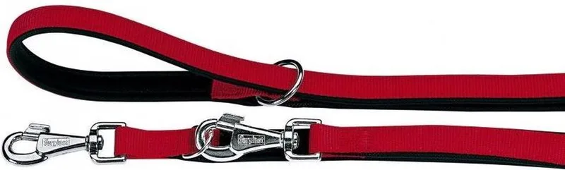 Laisse Pour Chien Daytona Ga20/200 de Ferplast – photo produit