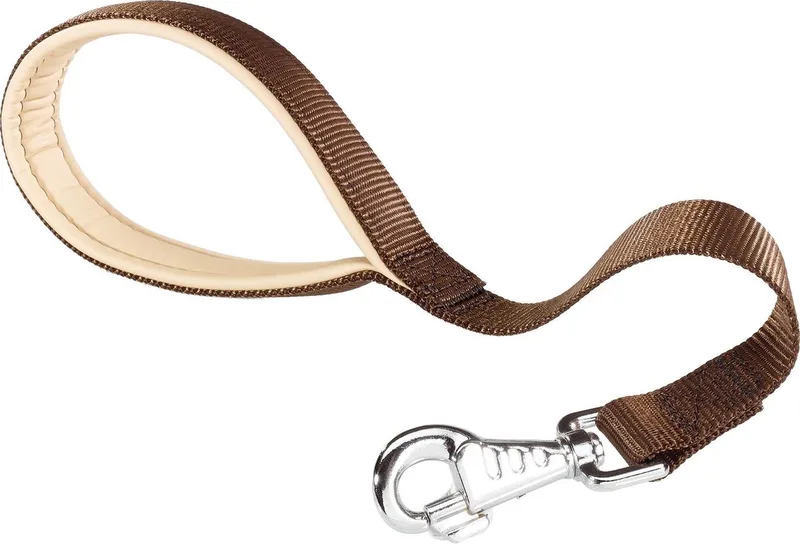 HONDENRIEM DAYTONA GM25/45 LIJN de Ferplast en Marron – photo produit