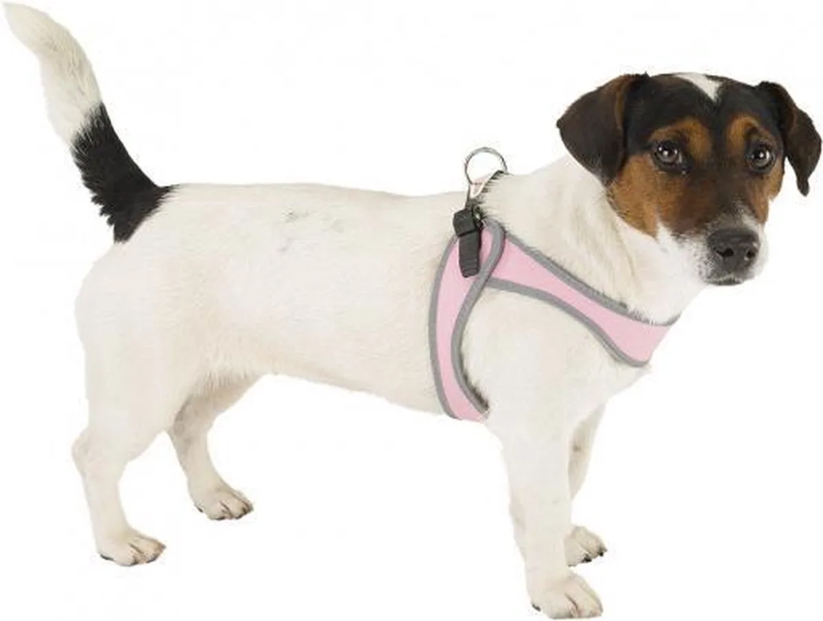 hondentuigje Aglia 3 nylon 42 / 50 cm grijs/roze by Ferplast in Pink – product photo