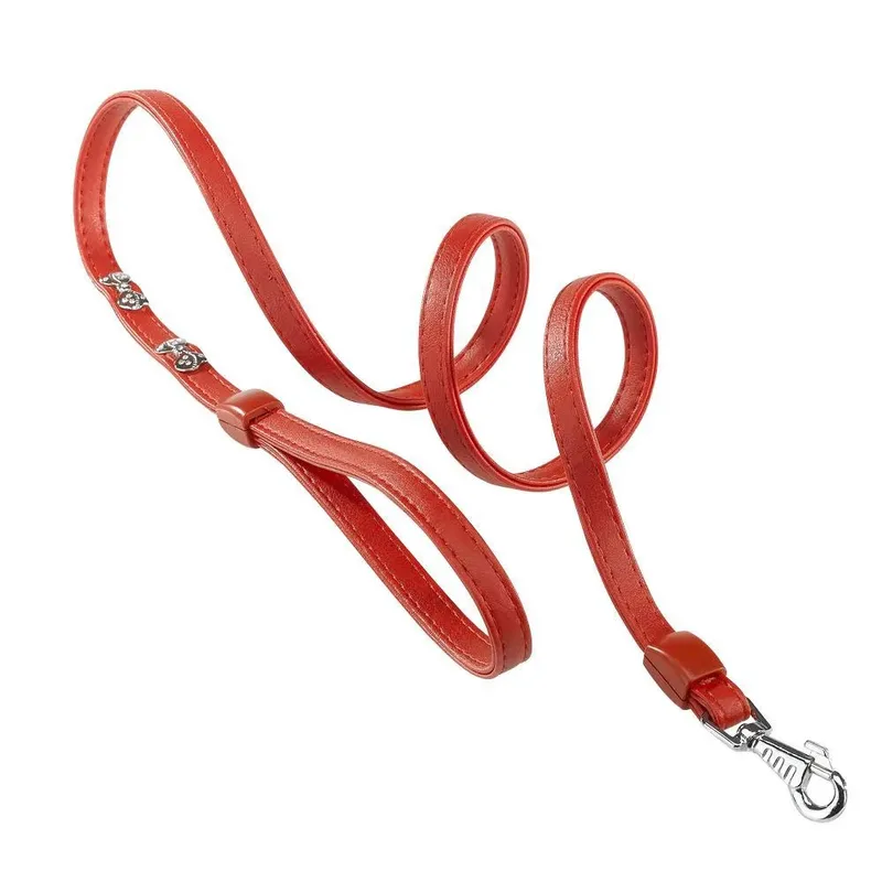Joy 15 Mm 120 Cm Hondenriem fra Ferplast – produktbillede