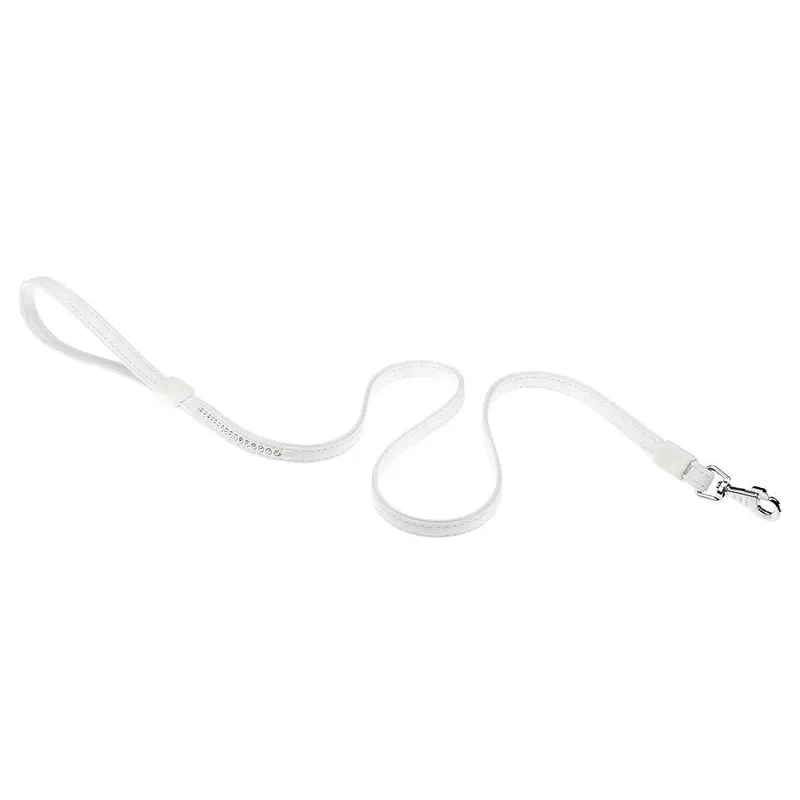 Lux 12 Mm 120 Cm Hondenriem de Ferplast – photo produit