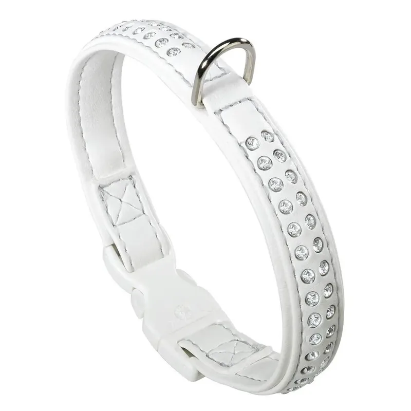 Lux 20 Mm 31 Cm Hondenhalsband de Ferplast – photo produit