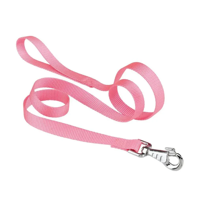 Nylon Club 15 Mm 120 Cm Hondenriem de Ferplast – photo produit