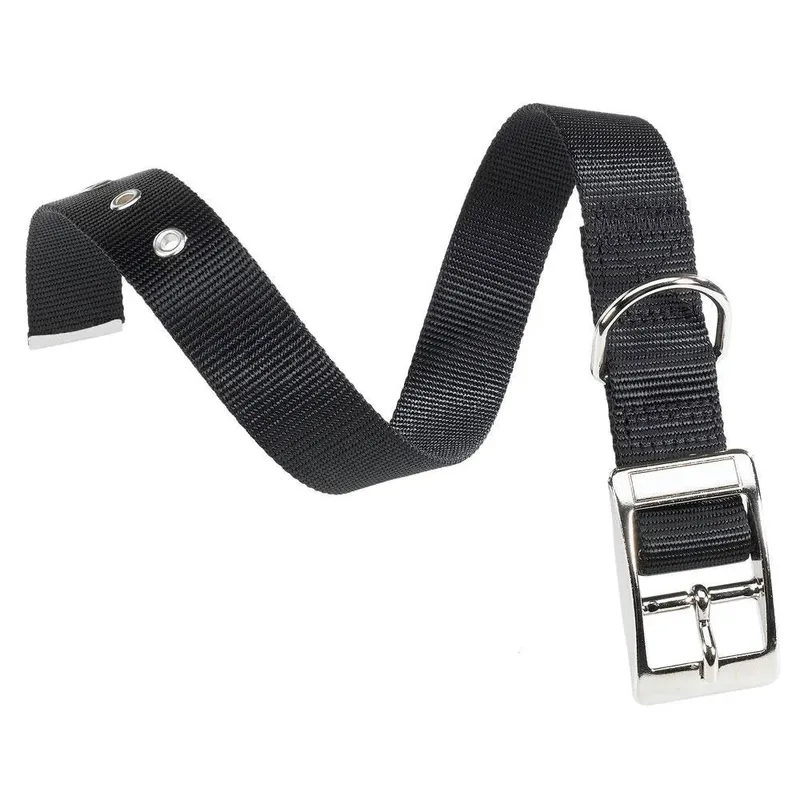 Nylon Club 20 Mm 43 Cm Hondenhalsband de Ferplast – photo produit