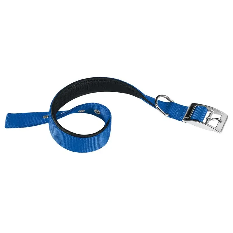 Nylon Daytona 3x3.4 Cm Hondenhalsband von Ferplast – Produktfoto 1 von 2