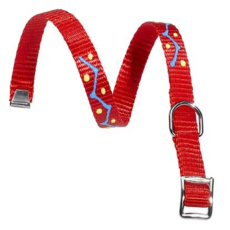 Nylon Incas C 15 Mm 34 Cm Hondenhalsband von Ferplast – Produktfoto