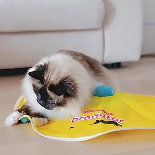 Predator Electronic Katten Speelgoed by Ferplast – product photo 3 of 6