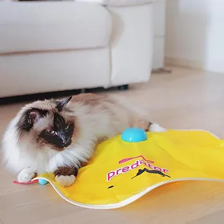 Predator Electronic Katten Speelgoed by Ferplast – product photo 2 of 6