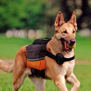 Scout And Leash Hondenharnas by Ferplast – product photo 4 of 4