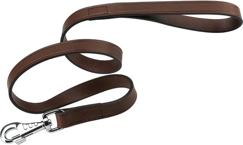 VIP Hondenriem - Echt leder - L-XL - Breedte 20 mm - Lengte 150 cm von Ferplast in Donkerbruin – Produktfoto