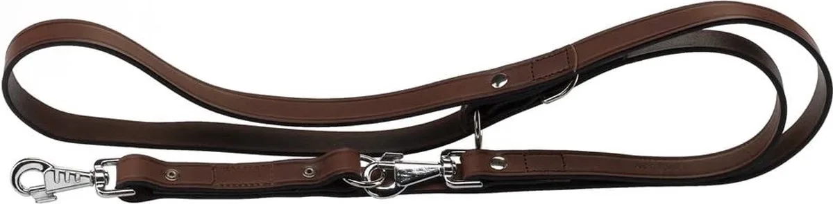 VIP Verstelbare Hondenriem / Hondenlijn - Leder - Maat: L-XL - Breedte: 2,2 cm - Lengte: 120-200 cm by Ferplast in Donkerbruin – product photo