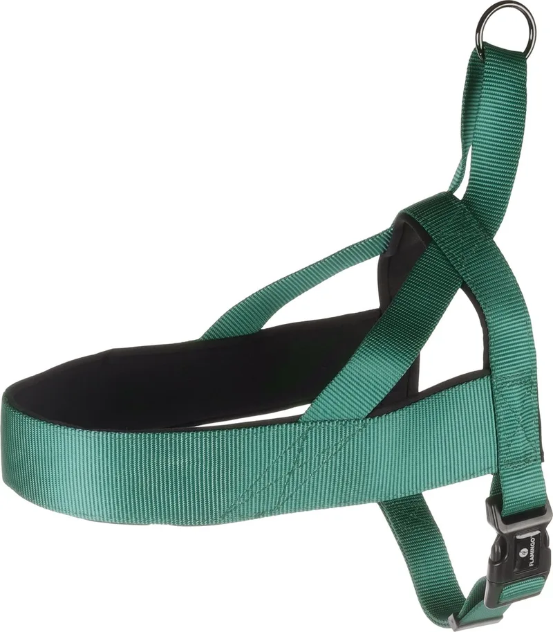 Abbi Noors - Harnas Honden - Noors Harnas Abbi Xl 65-80cm 25mm - 1st - 190723 - 1st de Flamingo en Vert – photo produit