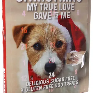 Adventskalender 2025 Hond – Flamingo Chick’n Snack XXL – glutenvrij & zonder toegevoegde suikers – gezonde kerstsnacks voor honden by Flamingo – product photo 2 of 2