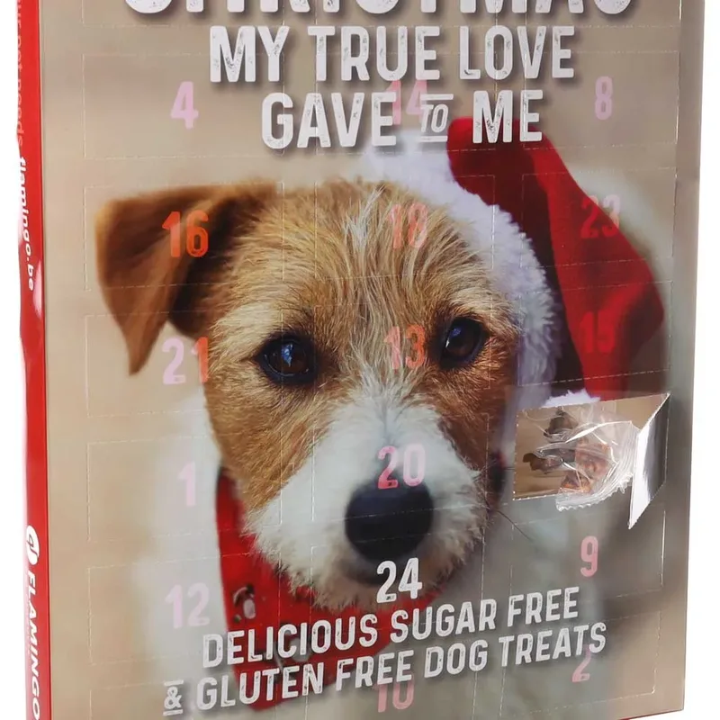 Adventskalender 2025 Hond – Flamingo Chick’n Snack XXL – glutenvrij & zonder toegevoegde suikers – gezonde kerstsnacks voor honden by Flamingo – product photo 2 of 2