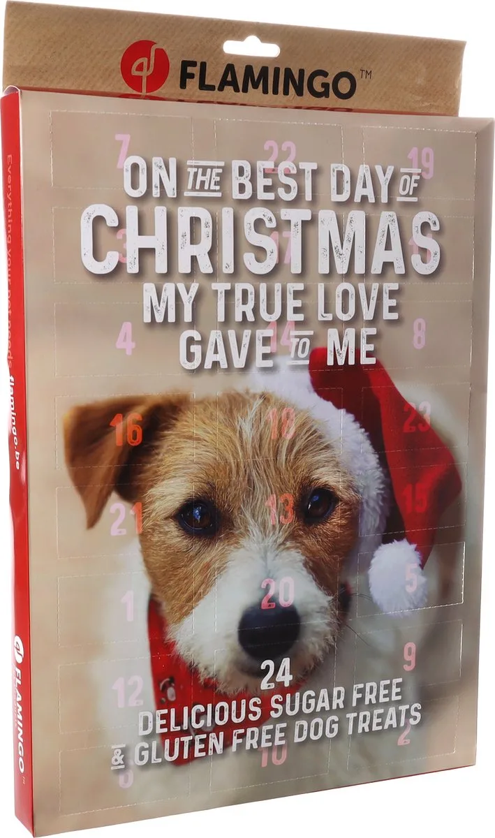 Adventskalender 2025 Hond – Flamingo Chick’n Snack XXL – glutenvrij & zonder toegevoegde suikers – gezonde kerstsnacks voor honden by Flamingo – product photo 1 of 2