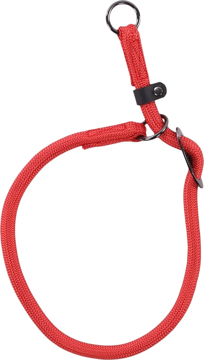 Aiden - Anti-trek Halsband Honden - Anti-trek Halsband Aiden L 55cm 12mm - 1st - 132820 - 1st de Flamingo en Rouge – photo produit