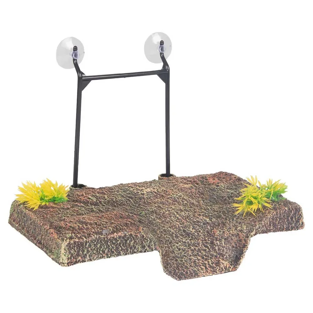 Comme Rectangle Tortue Quai île S de Flamingo – photo produit