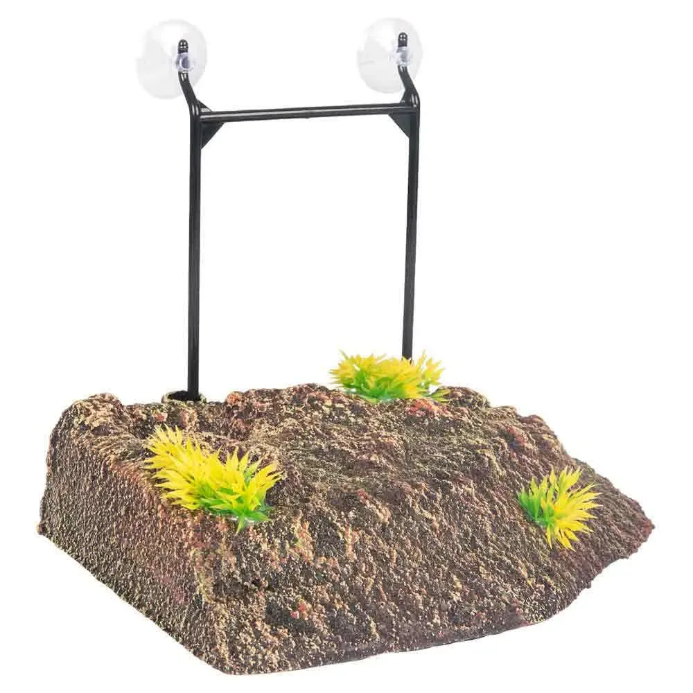 Comme île De Quai De Tortue S de Flamingo – photo produit