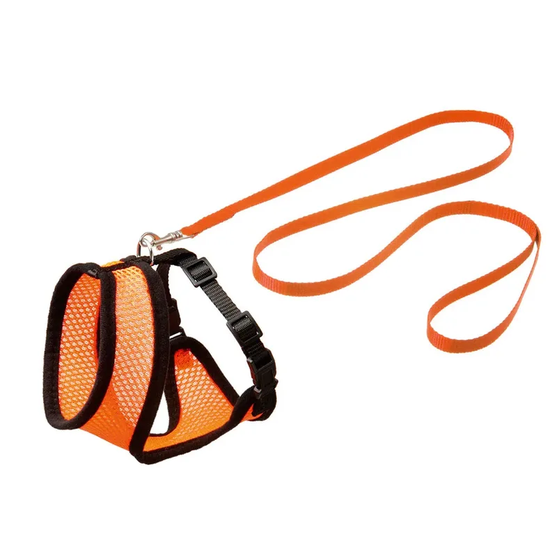 And Leash Kattenharnas de Flamingo – photo produit