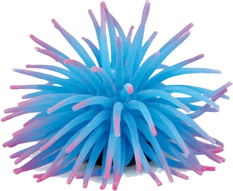 Aquarium accessoires Anemoon - 5 centimeter by Flamingo in Willekeurig – product photo