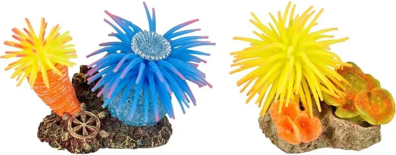 Aquarium Leo anemoom+rots - 10 x 7 x 7 cm von Flamingo in Willekeurig – Produktfoto
