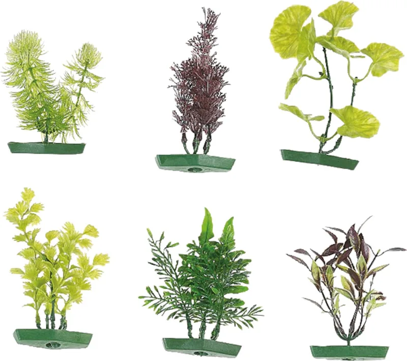 Aquarium plant assortiment - 10 cm von Flamingo in Willekeurig – Produktfoto