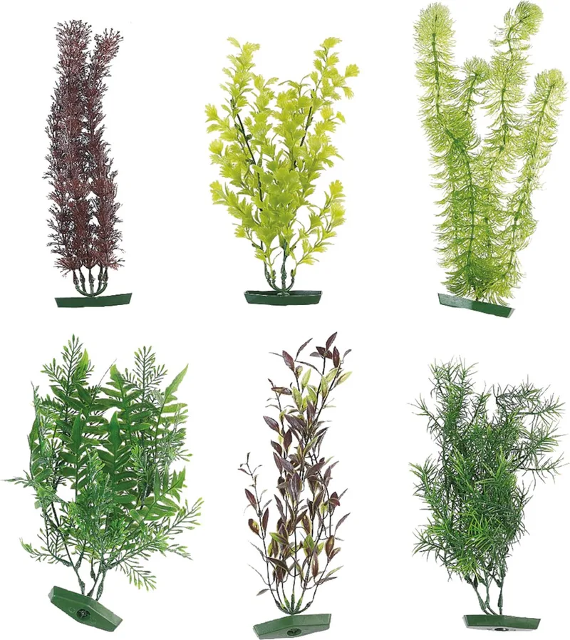 Aquarium plant assortiment - 30 cm von Flamingo in Willekeurig – Produktfoto