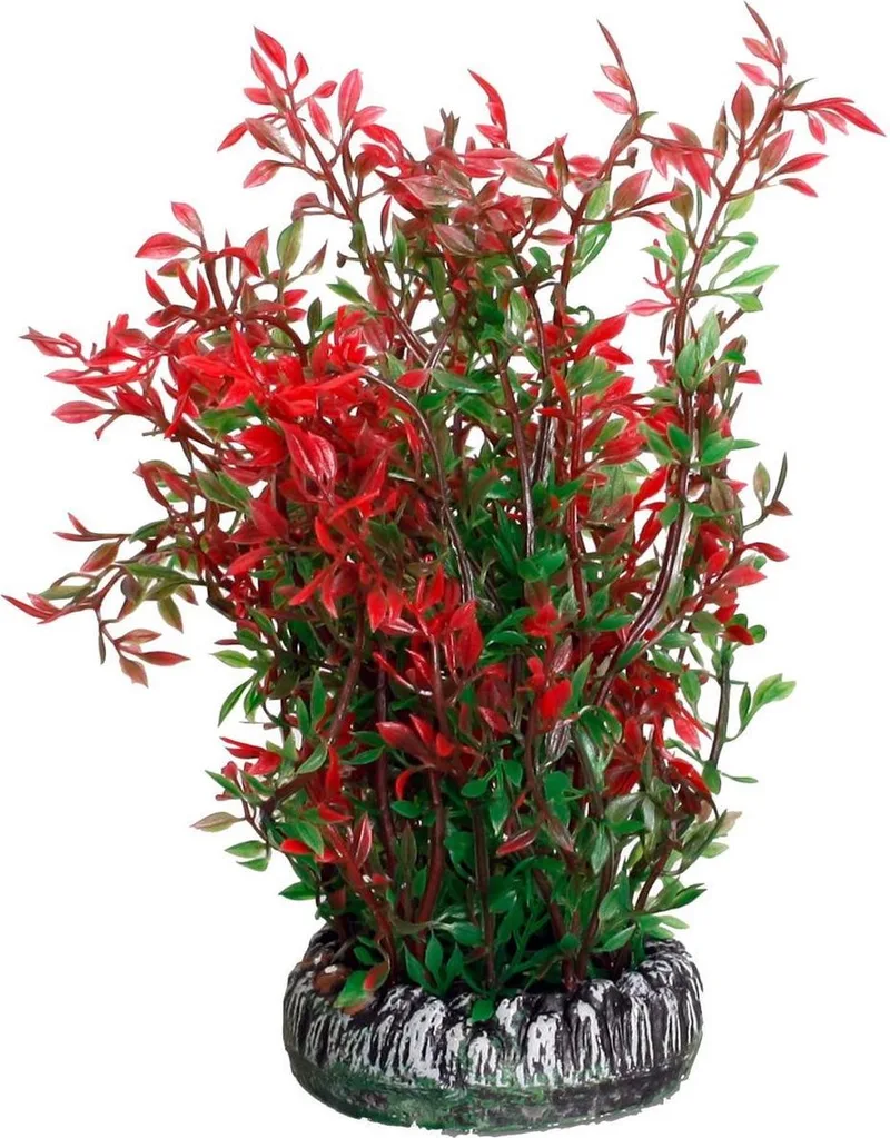 Aquarium plant plastic Sri Lanka decoratie - 7.5 x 6 x 13.8 cm by Flamingo in Willekeurig – product photo