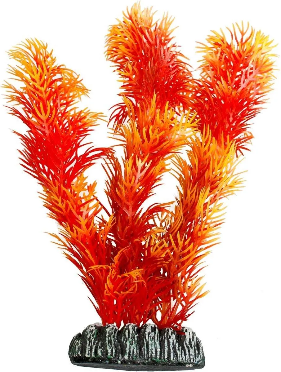 Aquariumdecoratie Plant Cuba - Assorti - XS - 9 x 4 x 9.5 cm de Flamingo en Willekeurig – photo produit