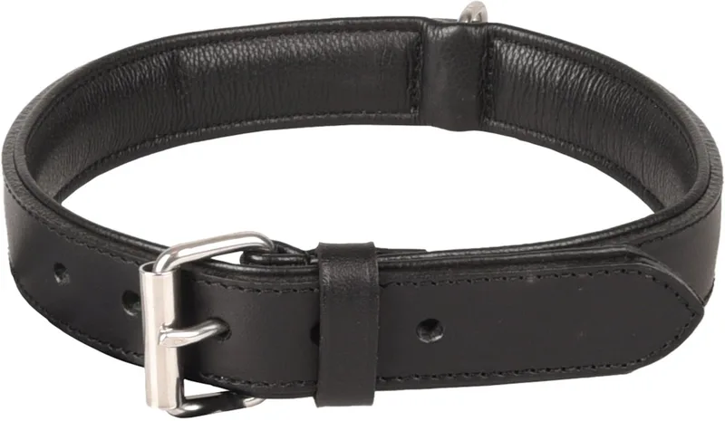 Arizona Gevoerd;gevuld - Halsband Honden - Halsband Arizona Leder Xl 45-55cm 32mm - 1st - 128746 - 1st von Flamingo in Schwarz – Produktfoto