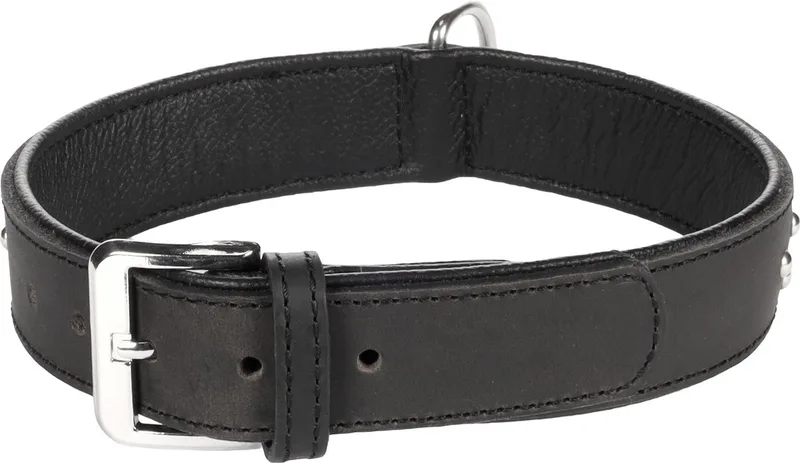 Atlanta Gevoerd - Halsband Honden - Halsband Atlanta L 41-50cm 35mm - 1st - 124139 - 1st von Flamingo in Schwarz – Produktfoto