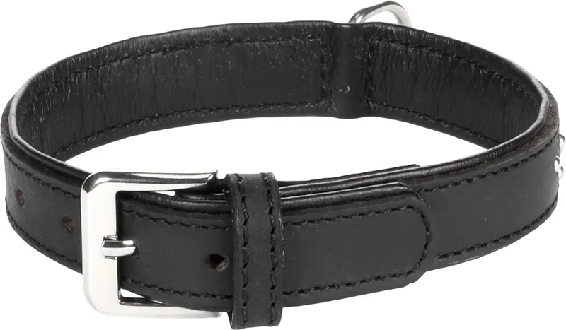 Atlanta Gevoerd - Halsband Honden - Halsband Atlanta S/m 31-37cm 25mm - 1st - 124145 - 1st by Flamingo in Black – product photo